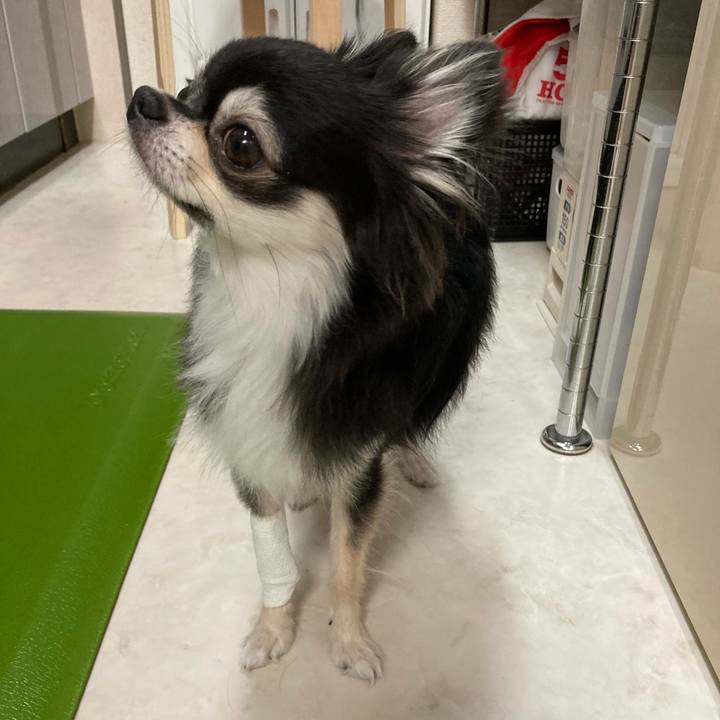 7a646243 a1d6 455a a152 c925428c4b15 1659191607428