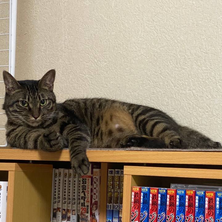 7a64a167 4b0f 48e4 adf0 9c99b5348d2b 1600580020001