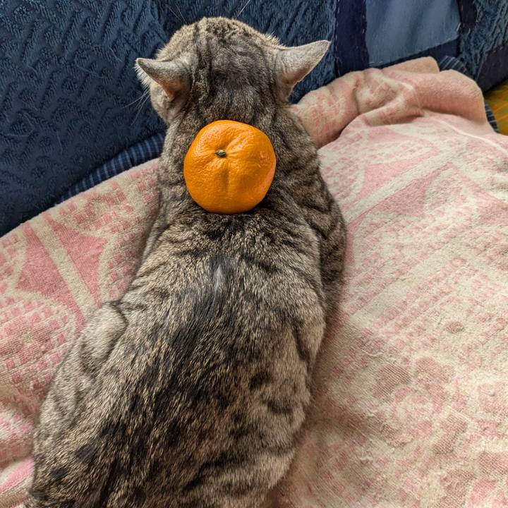 7a64b095 25e4 440a 939d 6593d8b9b1d7 1735702246718