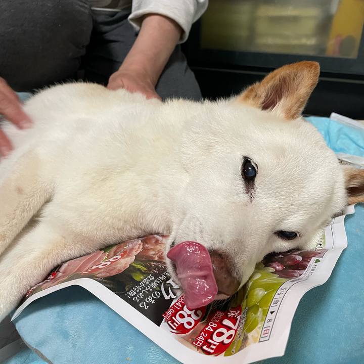 7a64bb2b 987d 421a 8d21 127b18557dc1 1652081831044