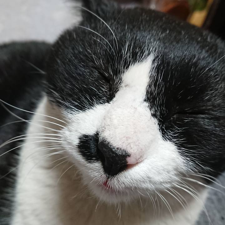 7a64bc36 31ac 4673 8cc5 31ab10d1b54a 1553599243143