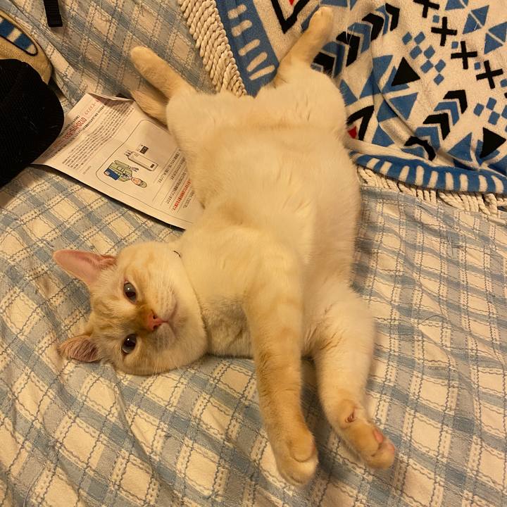 7a64ef12 7712 48a0 87bf 4898101d6d6d 1661603368815