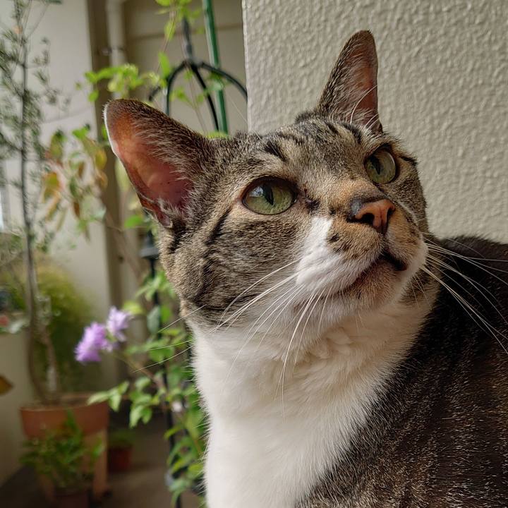 7a650678 a201 4359 803c 39a7341cb81d 1651102359351