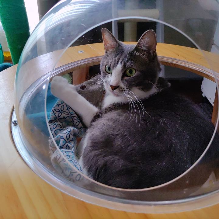 7a651195 2c13 4fdd b04c def9855ab06c 1661832666657