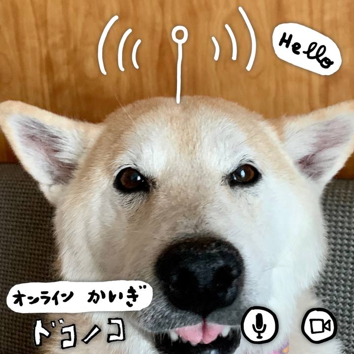 7a6527cc fde6 47e7 b3f1 b8a6acf2be33 1591079731921