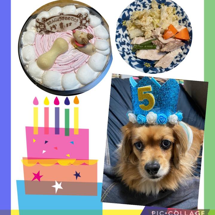 7a6581fc 28c9 4bbc 8d8d 60ab61185d2c 1646568032903