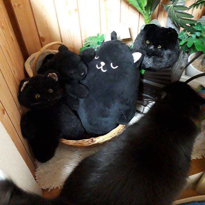 7a65a447 da05 4ea7 81dc 0f5fd0e510a4 1519850574136