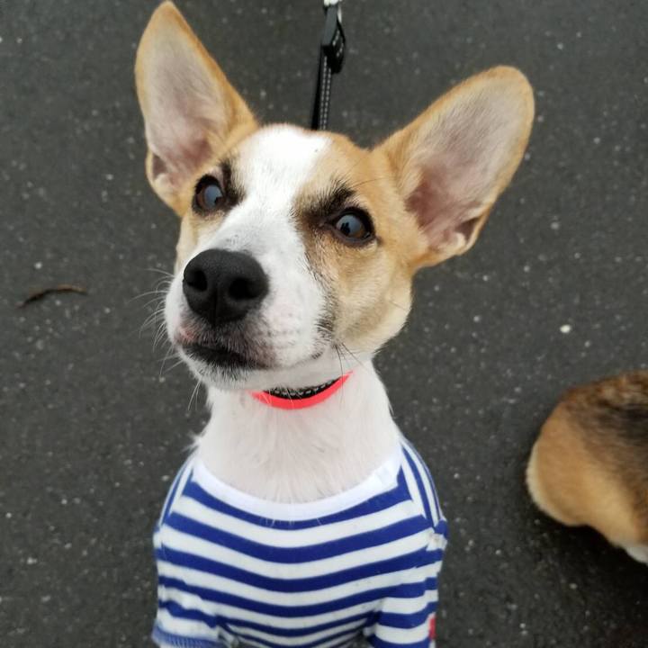 7a65a84f 0a61 44b8 bd20 b593380bafac 1566262078282