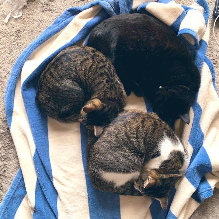 7a65c6cc f27c 4237 957f e97b9c5ff39c 1582871179679