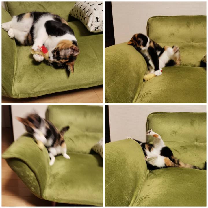 7a65ff2e 75fb 4536 b3df d2dfa4b585bc 1669177429958