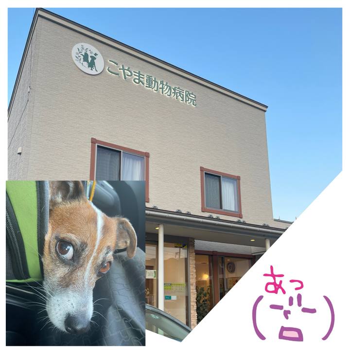 7a6608a8 2e5f 408a 8158 095201dbb033 1763537865053