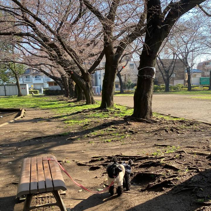 7a662166 b67c 4cdb 919b b4967899c2eb 1648108951305