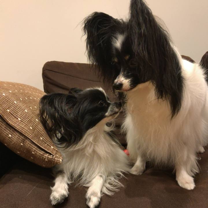 7a665497 aff5 43ac b7d7 8517774e21f8 1536750232078