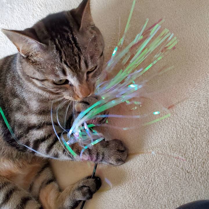 7a668681 dd14 4cbc 93cb 50fc64091684 1694900125907