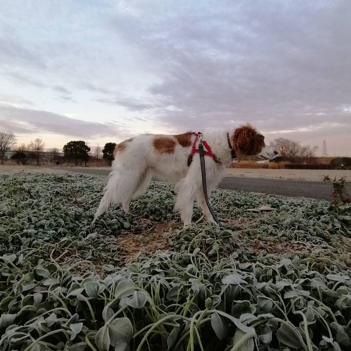 7a66874e 8b29 46a7 aa4d 93f233c4cae6 1579670701877