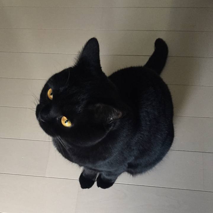 7a668dca 8119 4d86 a7fe 1a5c538abf08 1546484518511