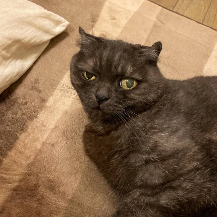 7a66abc8 9529 45c2 ae2e 107d6dd92473 1625675067463