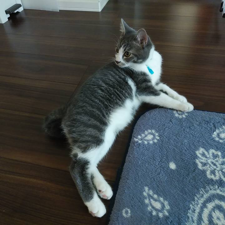 7a66eed0 ef67 4d37 bbea 6f3257e4ab4b 1570755494973