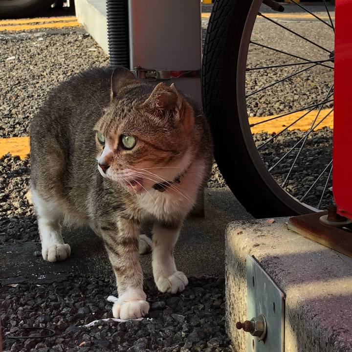 7a66efd5 d99c 43f1 b124 1146ed679ef7 1539320775114