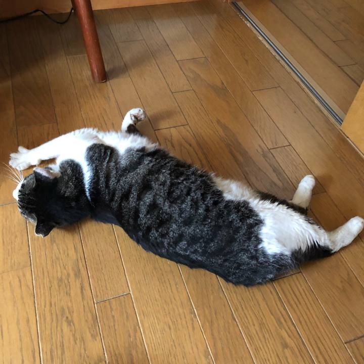 7a6714b0 83a6 4f26 bf7a 42360e94825f 1589866017454