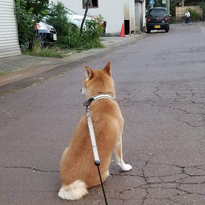 7a673813 401a 4fee afaf 9e32f6c3266b 1532426203493