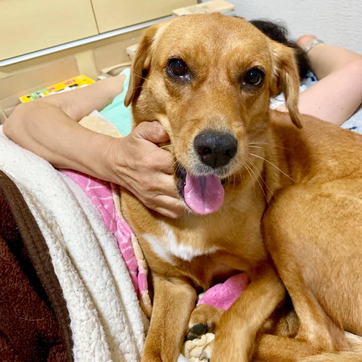 7a67384f a0dd 405f a1db 0ba9af989d59 1568614529078