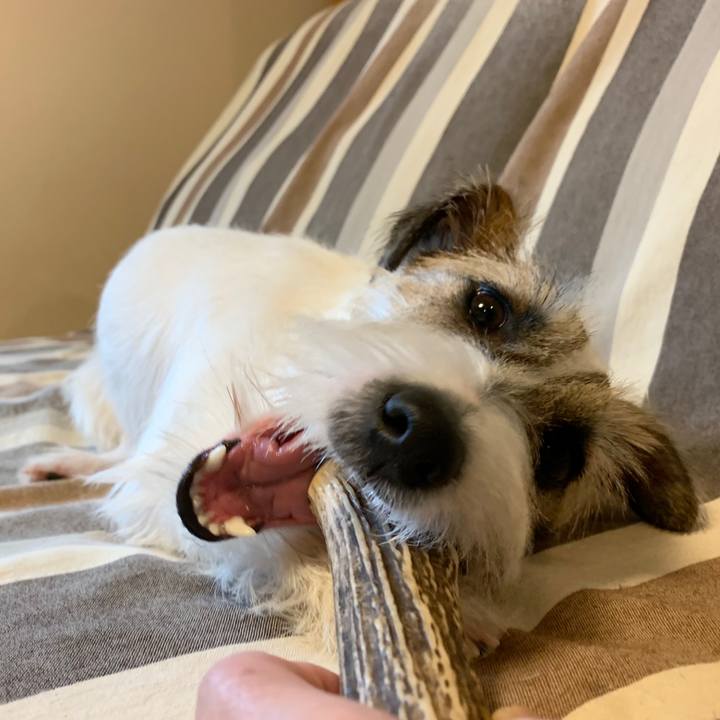 7a674b0d 2250 4f24 b948 835ac5570f40 1575246095923