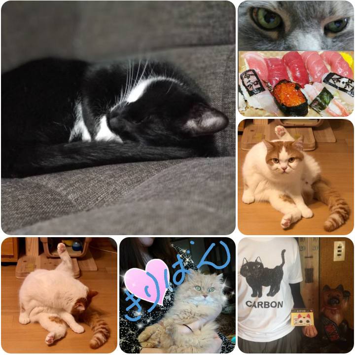 7a6778f1 8f9b 4cf2 879a 67bced06f52d 1556716224115