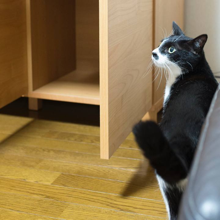 7a6782a7 dbee 4b79 a655 6ee0ac32cda2 1528564101492