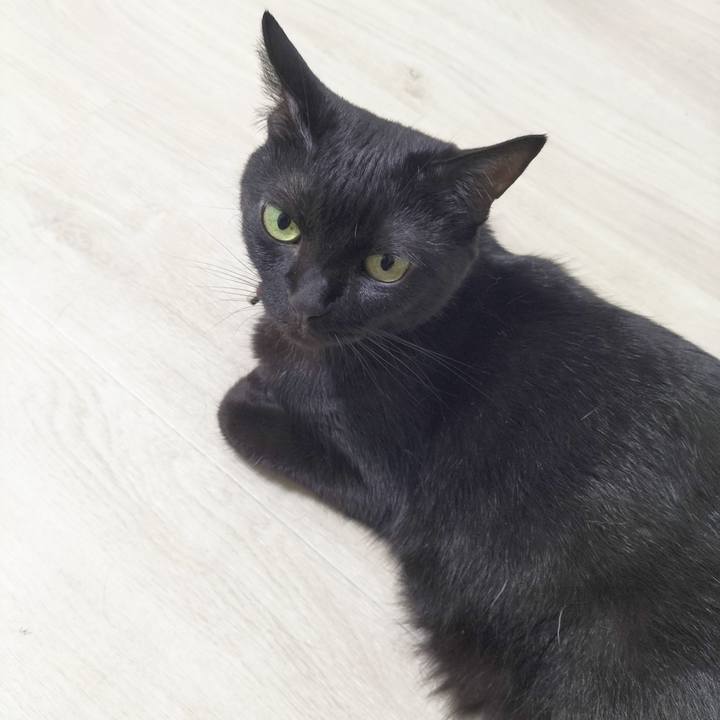 7a678bc3 e693 44da b1fe 74dd4305104c 1686830622174