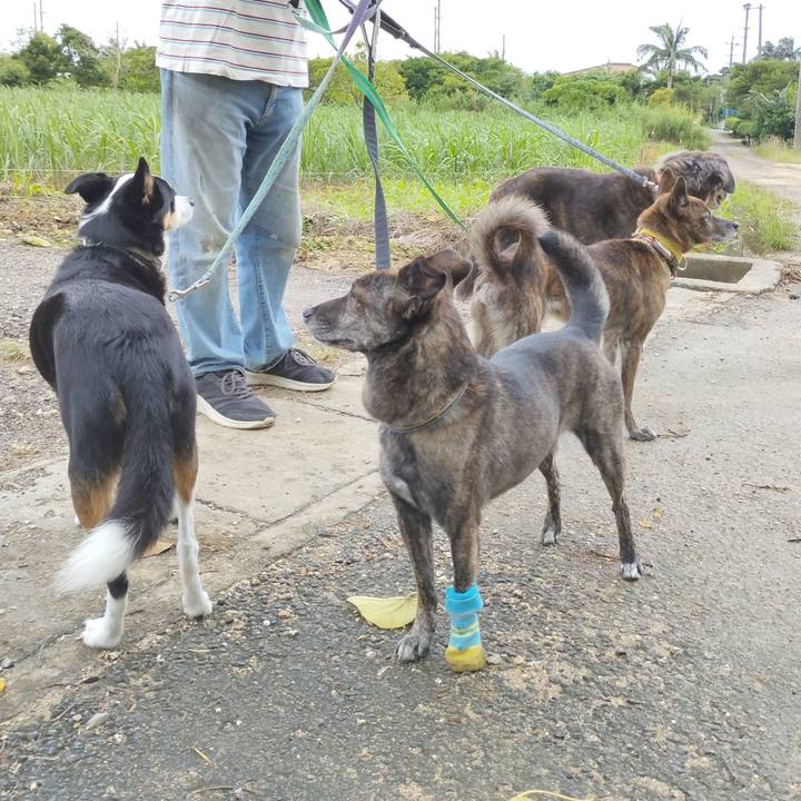 7a678d35 8853 4707 8047 62e0fb017f08 1701614320703