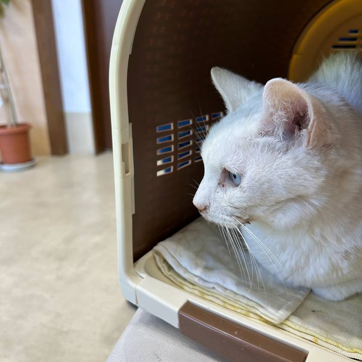 7a67da76 efb4 4ee6 8fdb 67e0a4dd5558 1703897676180