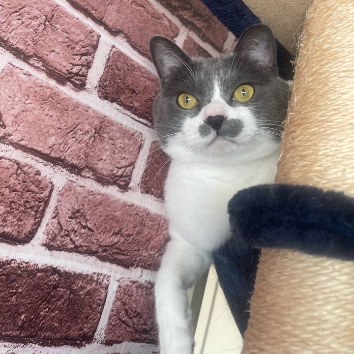 7a67e292 b6bb 4626 ab25 24f50a3a560e 1700868957984