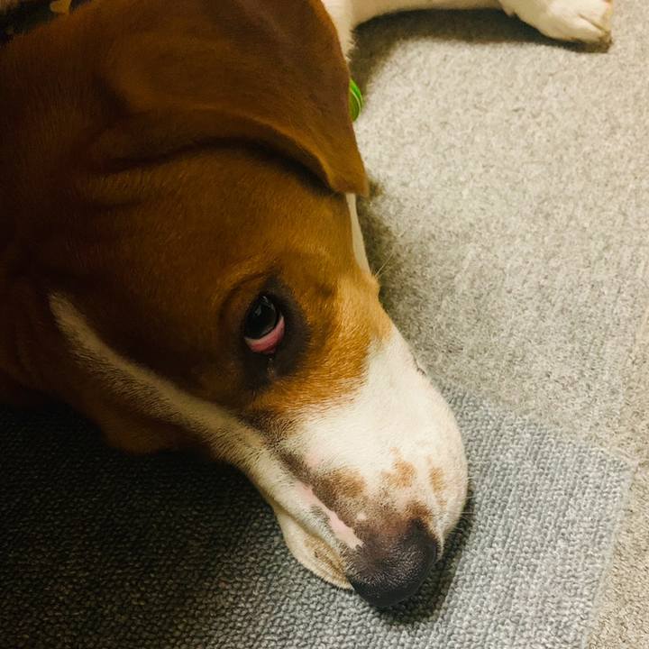 7a67feb7 794e 4e18 97e0 5ba1ec8d012f 1559917169857