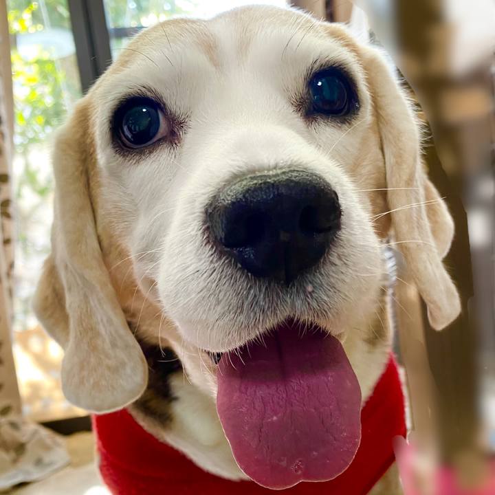 7a6847a3 7dc6 45fc b527 31af8abf53e8 1641788911174