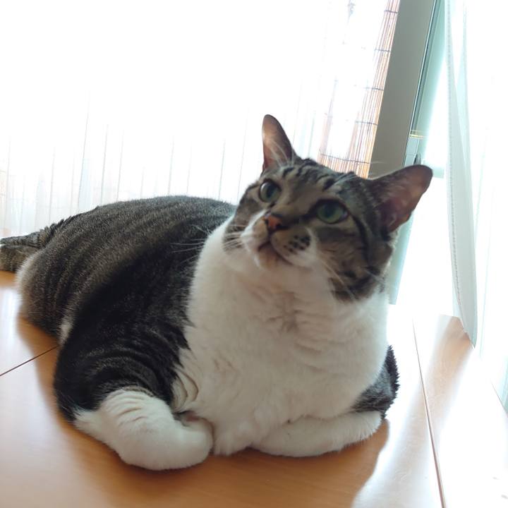 7a68a3d8 5aee 4a40 bbb7 a47091b70f27 1600743055486