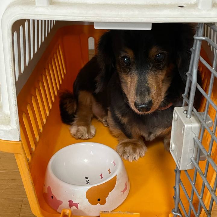 7a68a824 99a5 4386 b6f2 94f6cc9587b3 1634940926426