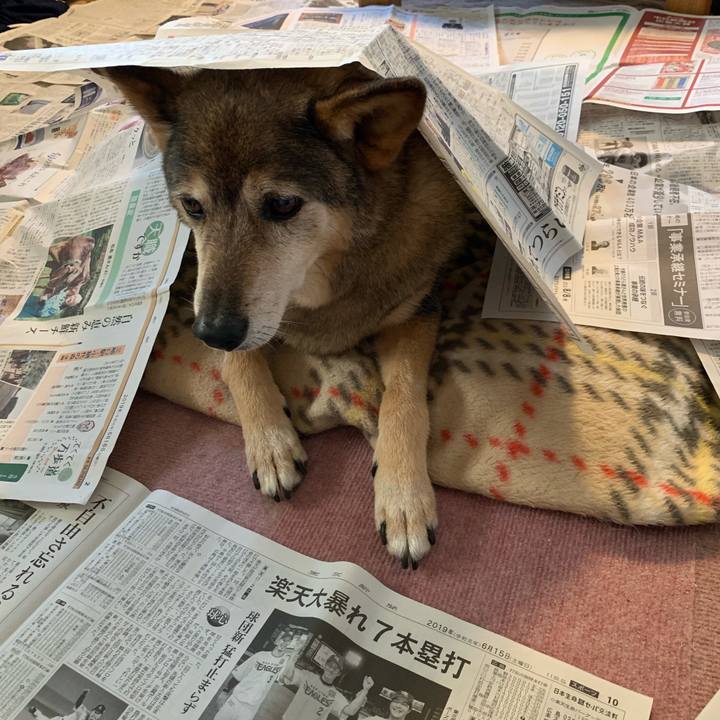 7a68cfe5 bf00 4d5d b7c0 c0c11af6aade 1561451424559