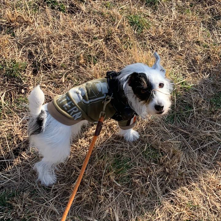 7a6959c6 4e09 4ef6 af89 2065c476f699 1702513661065