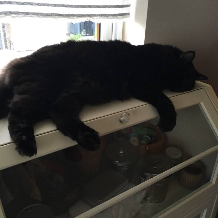 7a6960be e949 434d 947c d4050d5307e5 1536272815972