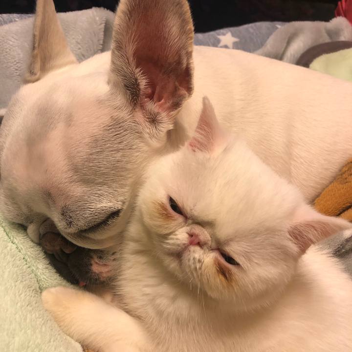 7a696ea5 eaa2 42e2 9d34 b36773235081 1631444663074