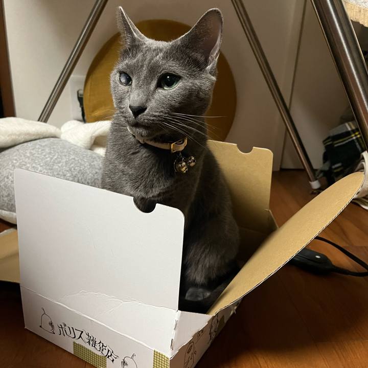 7a6975d7 4b47 4822 9ef1 c29ea2210b53 1712845544482