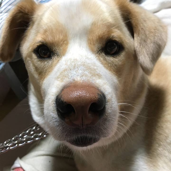 7a69a875 c386 4c7a a201 5df2ee3ddd2d 1526647542201