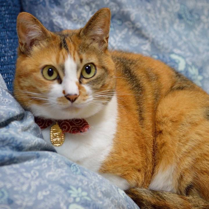 7a69bbcb 0a79 4f0a aace 988eab7d3aa4 1550798944972