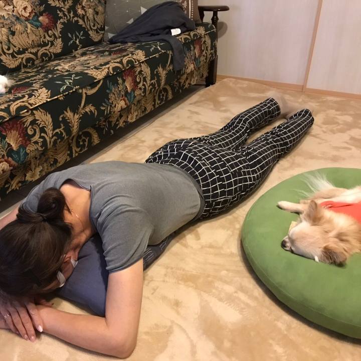 7a69d7cf cdbe 4566 92a2 76f16b3aebb8 1574511240095