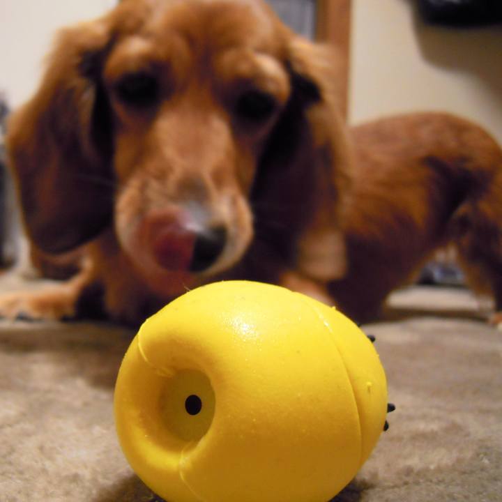 7a69dcdb 6793 41ce b378 df5ce64ba5d7 1553448615956