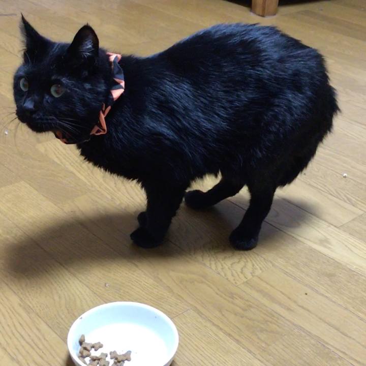 7a6a116f 3b42 4bb5 bfeb 1e2bddaa010b 1539169476095