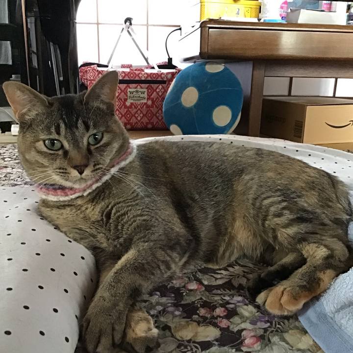 7a6a1566 f6e4 467c a470 7573e79ac7ad 1624240123440