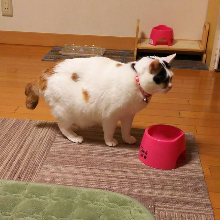 7a6a2a29 4dcf 4a21 8843 4e4af35f1049 1511263674918