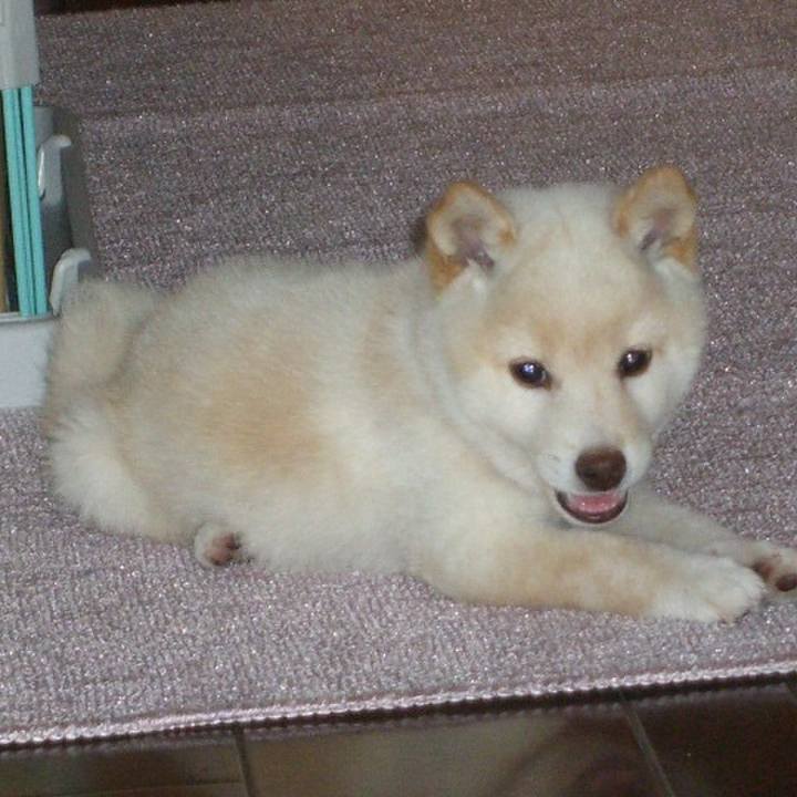 7a6a5580 0582 4ab9 98ed 89142fcfb4a9 1713889196834